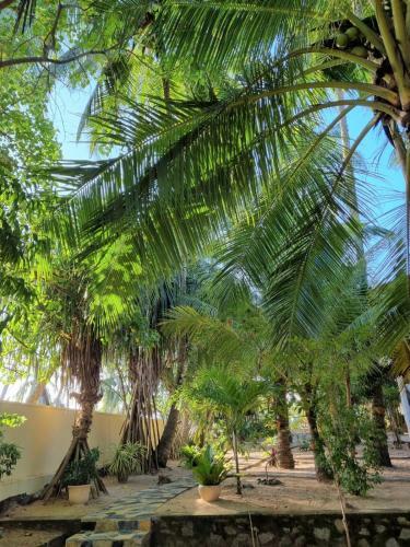 Hotel Golden Beach Paradise
