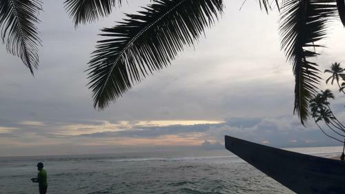 Bed & Breakfast Coconut Tree Villa