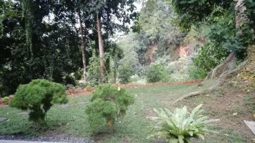 Hostal Forest Garden Villa On The Hill