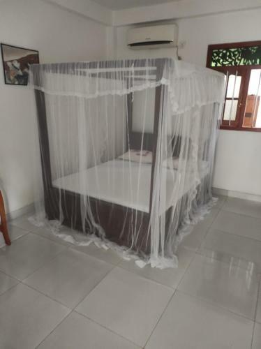 Hostal Pearls Guest Line