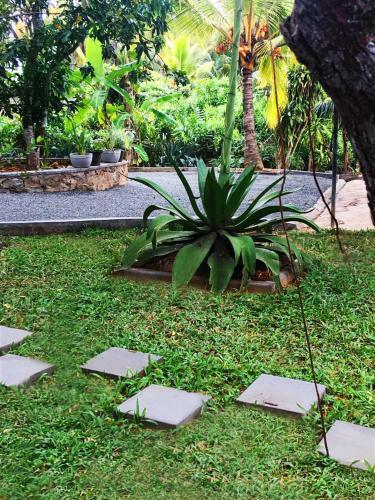 Hostal Triple Edge Villa