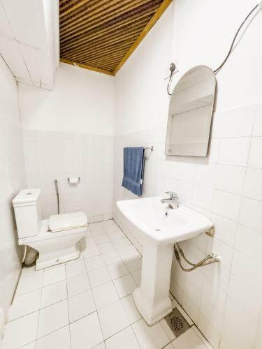 Bed & Breakfast Alice In Paradise