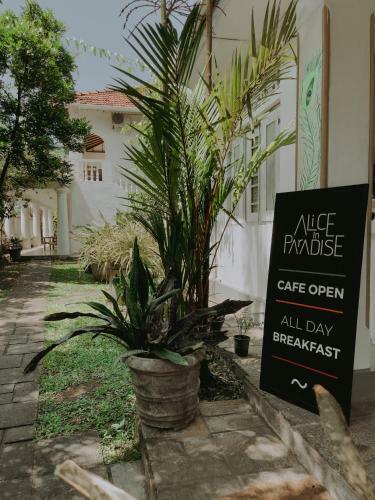 Bed & Breakfast Alice In Paradise