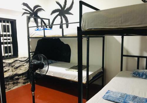 Dont Worry Be Happy Hostel