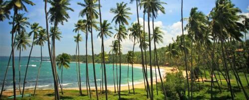 Bed & Breakfast Sandaru Holiday Resort