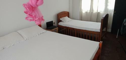Hostal Dimidi Villa