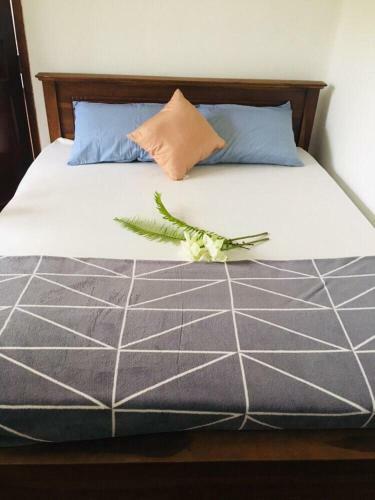 Hostal The Lovi Villa