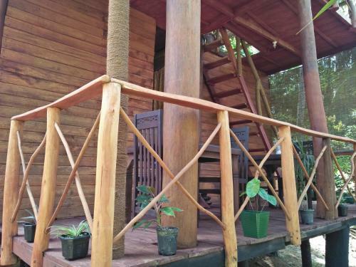 Villa Marvellous Tree House