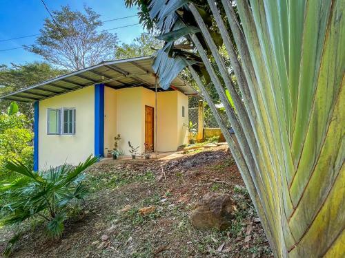 Albergue Blue Moon Cafe And Guesthouse