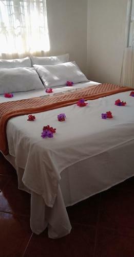 Bed & Breakfast Smyleinn Farm