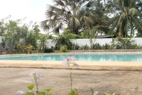 Hotel J & C Beach Resort