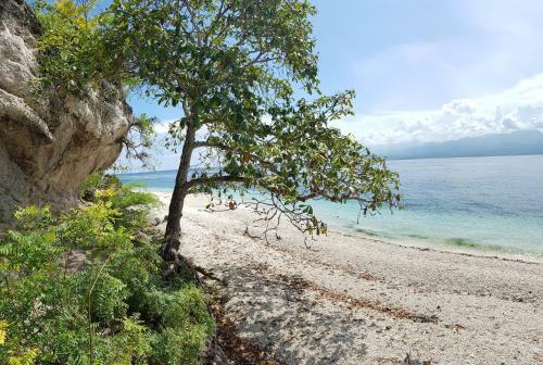 Hotel Santander Pebble Beach Resort