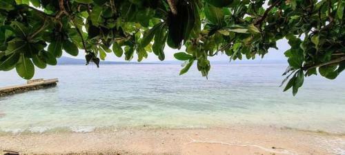 Apartamento Beach Front For Rent