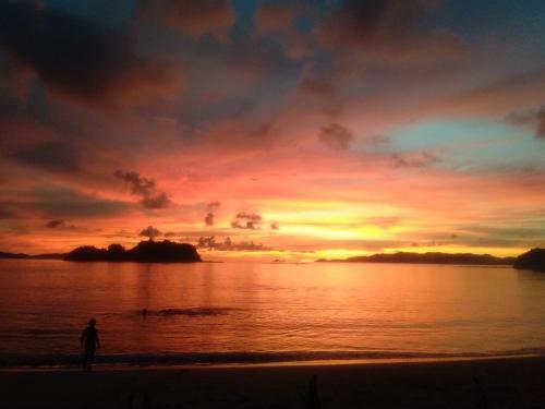 Posada Acuario Beach Inn