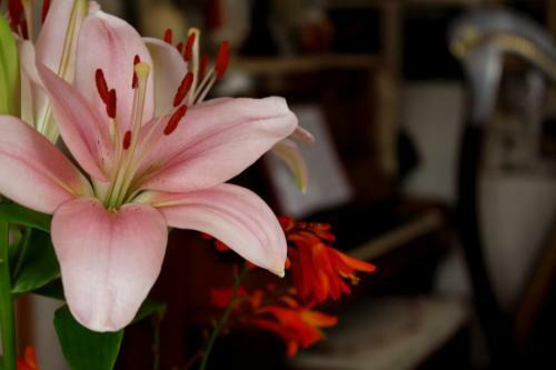 Bed & Breakfast City Centre B & B