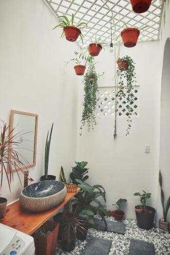 Cube Homestay Phan Rang C�ch Bi?n 300m To The Beach