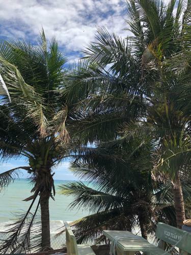 Homestay Bono M?i N�