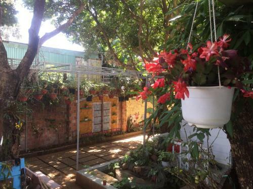 Hotel Hani House