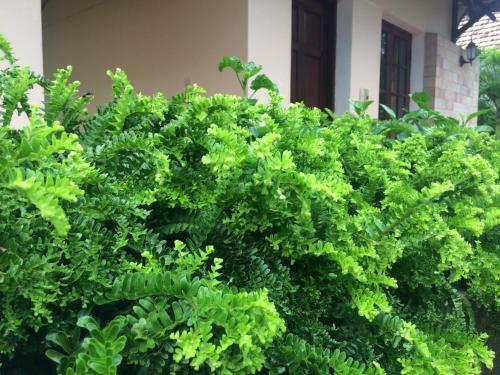 Hanz Hotel Thien Duong Xanh