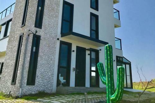 Cactus B&B