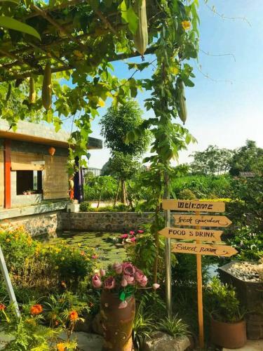 Hang Mua Nature Homestay