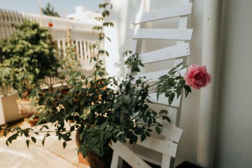 Nai's House - Homestay