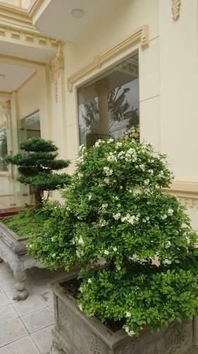 Camellia Hotel