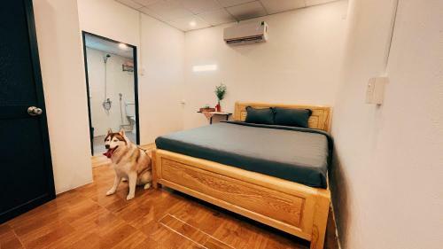 Nomad Homestay