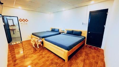 Nomad Homestay
