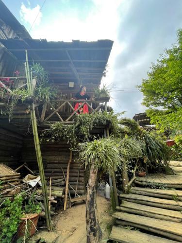 Bed & Breakfast Mushroom Homestay