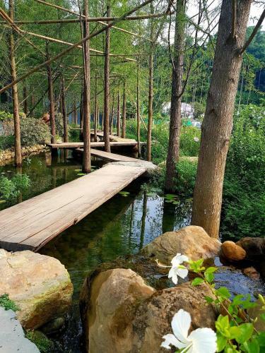 Carefree Park