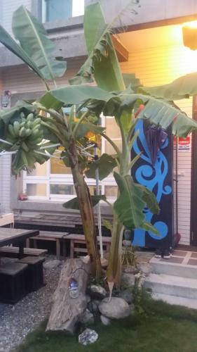 Bed & Breakfast Liyar House
