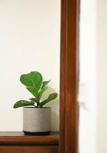 Slowtree Apartment