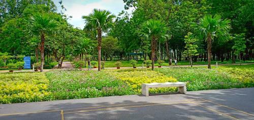 Five Star Studio Apartment Near Airport
