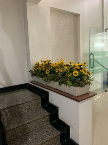 Hotel Kh�ch S?n ?�nh ?�nh