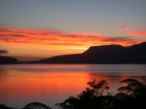 Hostal Te Whare -lake Tarawera Tree-top Nest
