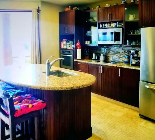Villa Jaguar Beachfront Luxery Ph