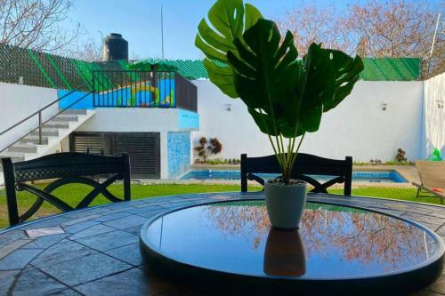Playground Haus
