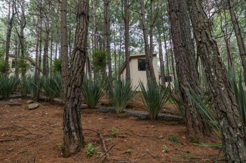 Lodge Rincon de Maria Mazamitla