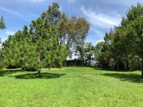 Lodge Caba�as Paseo Del Llano