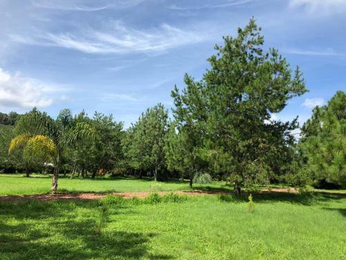 Lodge Caba�as Paseo Del Llano
