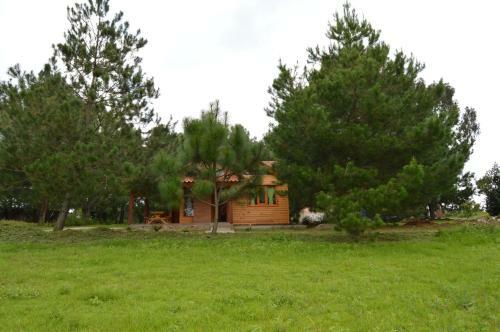 Lodge Caba�as Paseo Del Llano