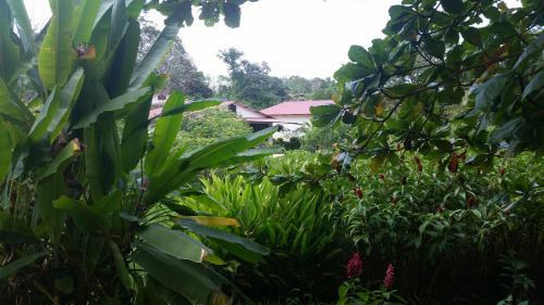 Bed & Breakfast Los Susurros. Casa