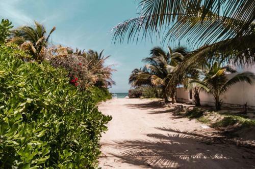 Apartamento Yucpropc104c - Luxury Unit By Playa Chac�, One Block From The Sea