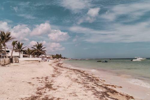 Apartamento Yucpropc104c - Luxury Unit By Playa Chac�, One Block From The Sea