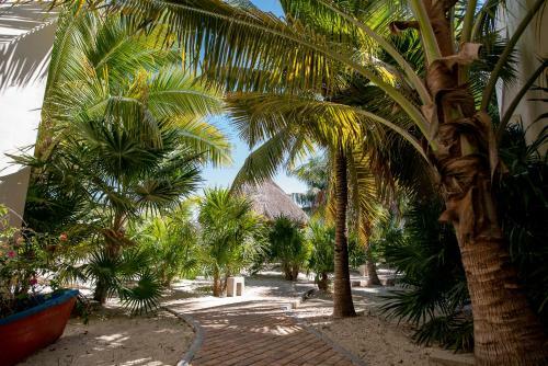 Spacious And Private Retreat 1 Block From The Beach In Progreso East