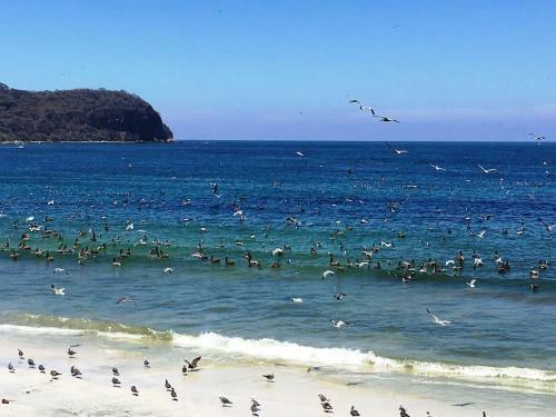 Apartamento Punta Mita Litibu Beachfront Studios Sol 1
