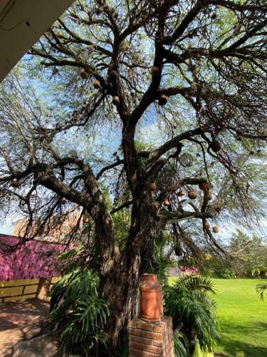 Hotel La Estancia