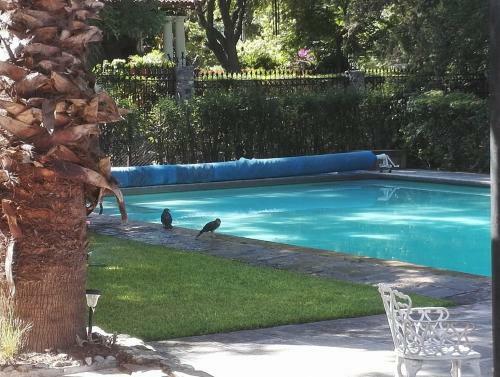 Hotel Rancho El Morillo