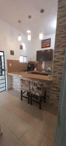 Apartamento Casa Turix Centro--santiago
